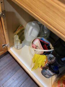 cleaning supplies under the sink along with a bucket to contain loose cleaning items.